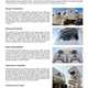 Illustration for article titled NASA Reveals New Rover For Manned Extraterrestrial Missions